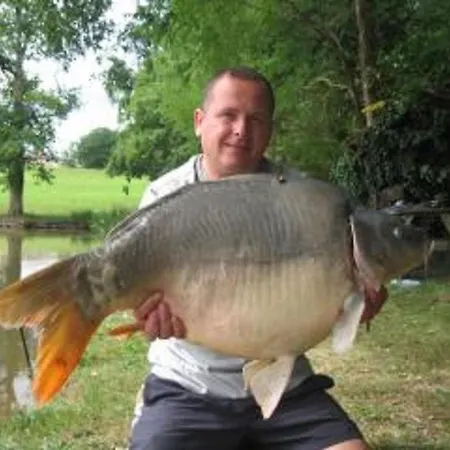 Domaine Des Bigoussies & - 120 Hectares, 6 Etangs Hytte